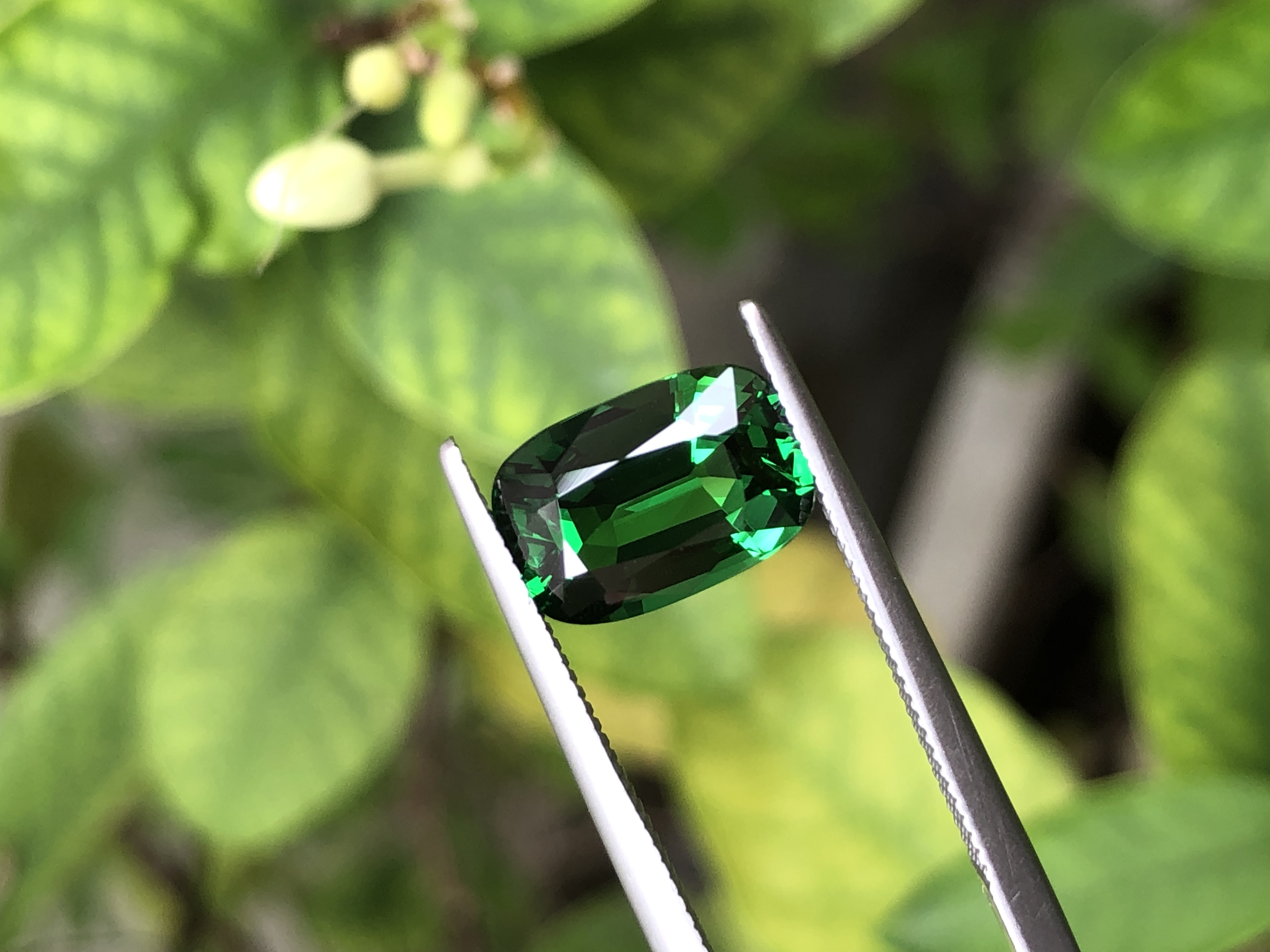 Natural Tsavorite Garnet 3.31 CT. 